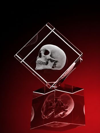 strahlend, LEDs, glasbild, geschenkidee, fotogeschenk, GLASFOTO.COM